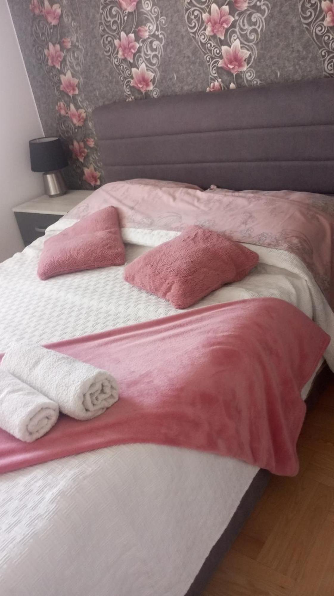 Apartman Gana Altina Lux 贝尔格莱德 外观 照片